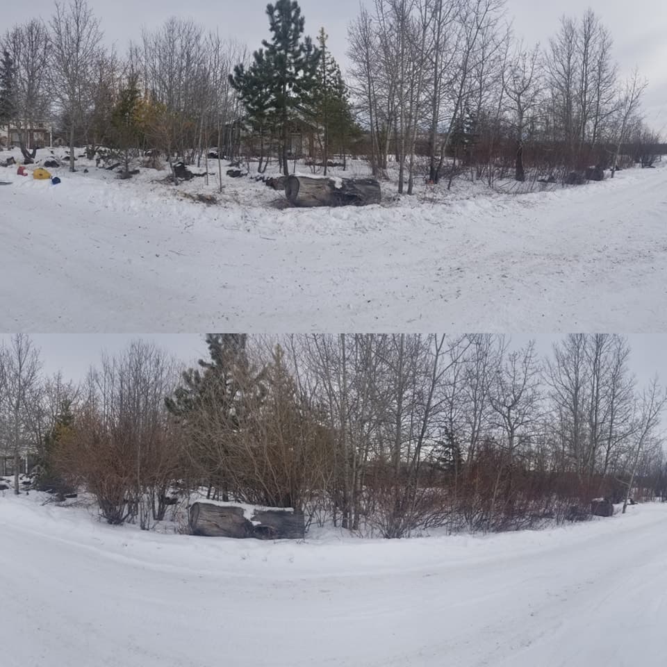 Major Forest Cleaning